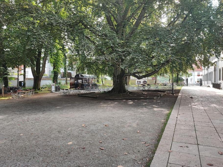 -stadthaus Ida- Mit Grosser Dachterasse, Am Schlosspark, Luftkurort Kisslegg, Boxspringbetten, Kaffeevollautomat, Smarttv, Familienfreundlich, Grosszuegig, Zentral Kisslegg